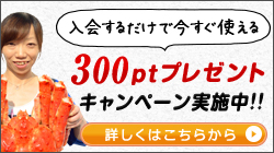 入会するだけで今すぐ使える300ptプレゼントキャンペーン実施中！