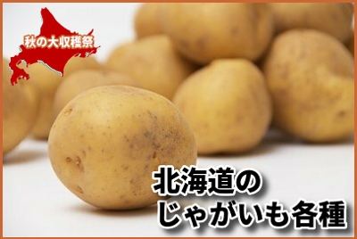 じゃがいも各種