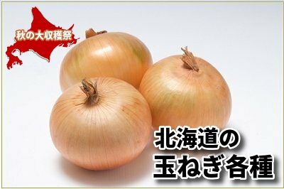 玉ねぎ各種