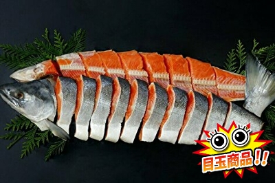 紅鮭A