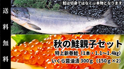 652(T652) ＜送料無料・今月の目玉・限定500セット＞鮭の親子セット 紅鮭/いくら