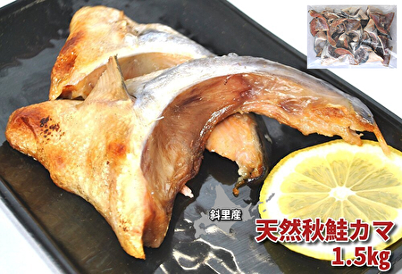 836 天然秋鮭カマ 1.5㎏｜北海道網走水産
