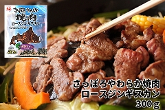 498 Vۂ炩ē[XWMXJ 300gE1