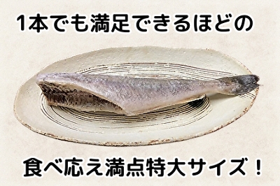 004(B004) ICVbvEjȋIuvR}C@6{