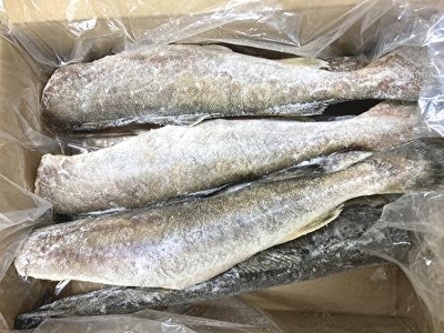 004(B004) ICVbvEjȋIuvR}C@6{