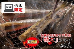 004(B004) ICVbvEjȋIuvR}C@6{