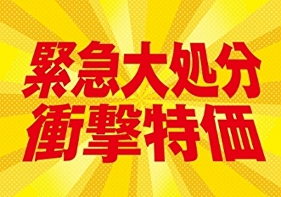 006(B006) ���I�����C���V���b�v����E��x�ƂȂ��j�i�̑�����I�����^���o���Ƃق��ĕ���