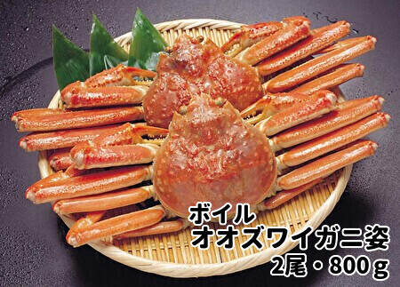 041 ボイルオオズワイガニ姿 2尾・800g /ボイル冷凍｜北海道網走水産
