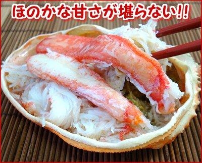 041 �{�C���I�I�Y���C�K�j�p 2���E800g /�{�C���Ⓚ