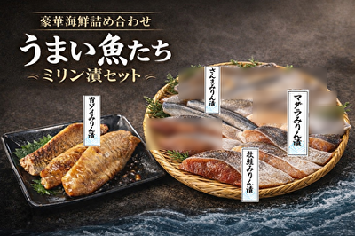 496(F496) ���܂��������݂��ЃZ�b�g�@�H��/�����/�}�_��/�]�C