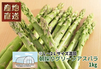 ＜ハウス栽培＞朝採りグリーンアスパラ　1kg