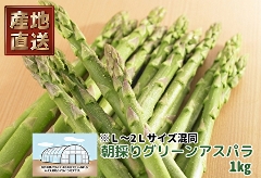 621(F621) ���n�E�X�͔|�E������4����{�ȍ~����E�z�B���w��s�� ���̂�O���[���A�X�p�� 1kg /�Y�n����/������