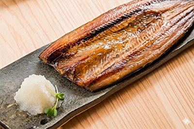 497(F497) ���V�������J������܁@10�������M�p