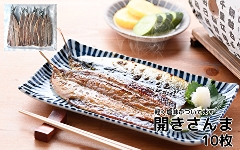 497(F497)�@�J������܁@10��