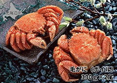 422 �т��Ɂi�{�C���j 330g�~2��