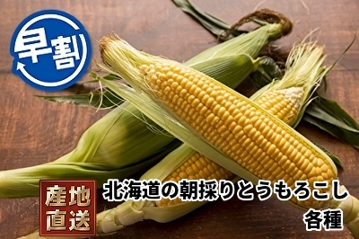 とうもろこし各種　1kg