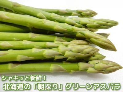 621(F621)  ��������6����{�ȍ~����E�z�B���w��s�����̂�O���[���A�X�p�� 1�s /�Y�n����/������
