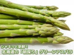 621(F621)  ��������6����{�ȍ~����E�z�B���w��s�����̂�O���[���A�X�p�� 1�s /�Y�n����/������