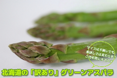 623(F623) ��������6����{�ȍ~����E�z�B���w��s���󂠂�O���[���A�X�p�� 1�s /�Y�n����/������