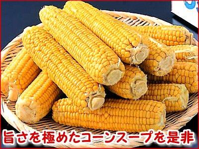 306 R[|^[WX[v@10{ ^51T[rXI