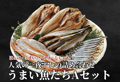 販売終了しました 139 うまい魚たち A セット ホッケ 鮭ハラス コマイ ししゃも 北海道網走水産