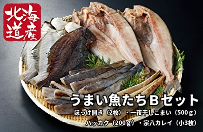 132 F132 うまい魚たち B セット ほっけ ししゃも こまい カレイ 北海道網走水産