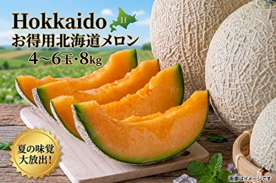 お得用北海道メロン