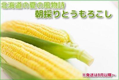 【産直】朝採とうもろこし10本