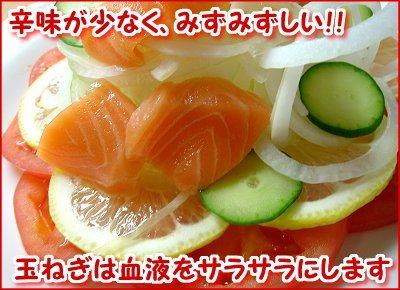 724 T_ʂ˂@Tkgij
