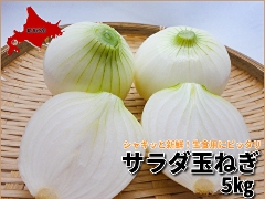 724(F724) Yn/7`/zBwsT_ʂ˂ 5kg