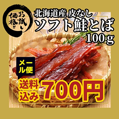 N701 ԑYIWi kCY葢Ƃ \tgE100 /J[hEe|CgSz/s/s/ws/[/|XgC/|Cg/RC