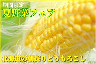 とうもろこし