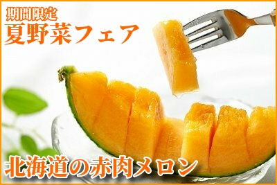 赤肉メロン