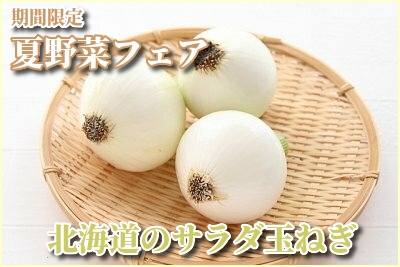 サラダ玉ねぎ