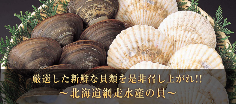 美味い ホタテの通販サイト 北海道網走水産