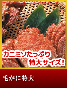 毛がに特大２尾で約１kg