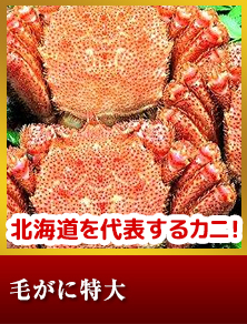毛がに超特大１尾・約１kg