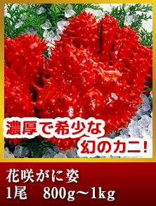花咲がに姿1尾・約1kg