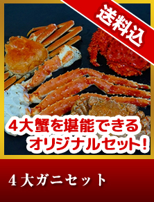 ４大ガニセット
