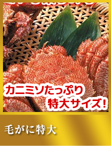 毛がに（特大2尾約1kg）