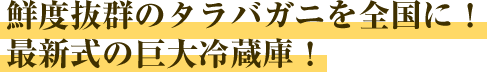 鮮度抜群のタラバガニを全国に！最新式の巨大冷蔵庫！