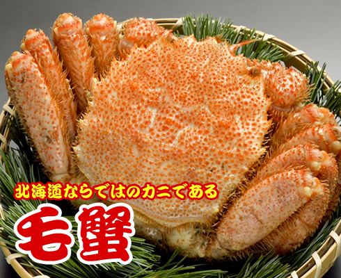 毛蟹