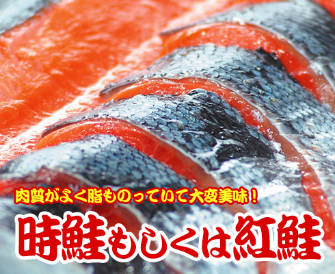 時鮭もしくは紅鮭