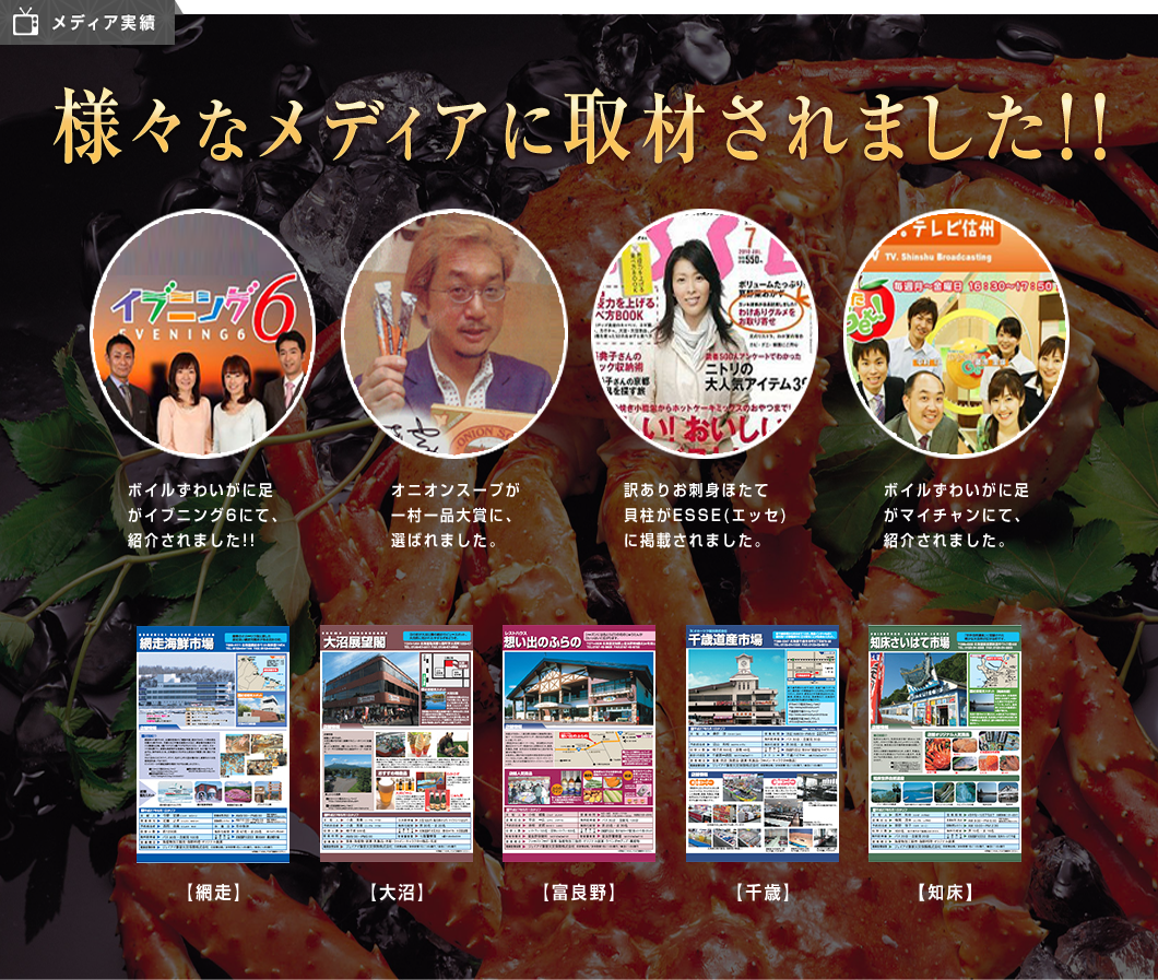 メディア実績