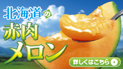 メロン