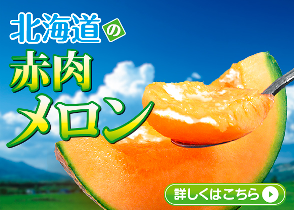 北海道　メロン　網走　赤肉 北海道産（ふらの）赤肉メロン【送料込 ※沖縄・離島除く