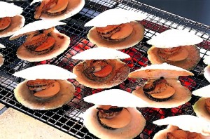 300716_hotate1