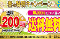 春の旨いもの通信！お届けが始まりました