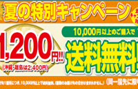 夏のお買い得フェア開催中