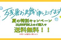 超目玉が勢ぞろい！残暑見舞応援フェア開催
